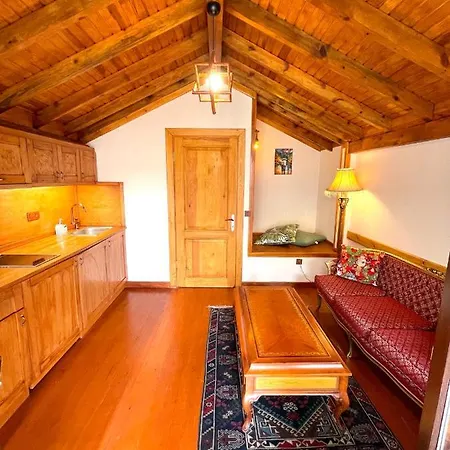 Authentic Turkish Home Family Room Hotel apartamentowy Stambuł